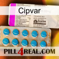 Cipvar new07